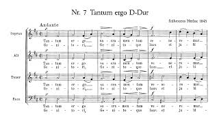 Anton Bruckner  Tantum Ergo in DMajor WAB 32 Latvian Radio Choir [upl. by Marquet]