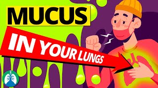 7 Causes of Increased Mucus in Your Lungs Clearing Congestion [upl. by Ahsinod]