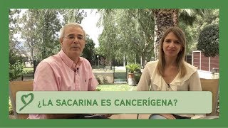 ¿La SACARINA es cancerígena [upl. by Enywtna]