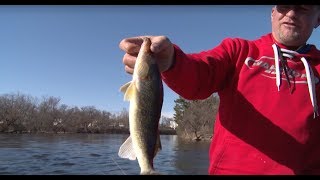 Jigging Walleyes Wisconsin River [upl. by Merola]