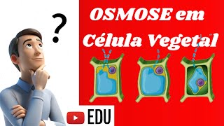 OSMOSE EM CÉLULA VEGETALTransporte Passivo [upl. by Arraik986]