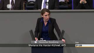 HarderKühnel Am Werbeverbot für Schwangerschaftsabbrüche festhalten  AfDFraktion im Bundestag [upl. by Primo]