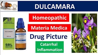 Dulcamara Drug Picture  Homeopathic medicine  Materia medica bhms dulcamara drugpicture [upl. by Pleione]