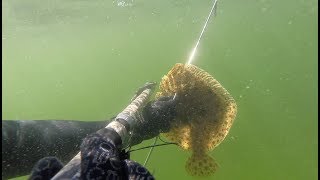 380 Spearfishing How to catch a flatfish  1 kg turbot [upl. by Jackson]