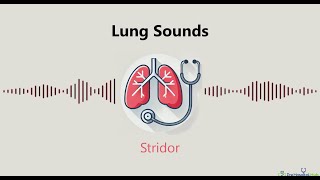 Lung Sounds Stridor [upl. by Yuji]