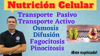 NUTRICION CELULAR TRANSPORTE ACTIVO Y PASIVO FAGOCITOSIS DIFUSION OSMOSIS PINOCITOSIS [upl. by Anirdnaxela]