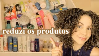 Tour pelos meus produtos de cabelo atuais  favoritos do momento 🪞✨ [upl. by Hieronymus]