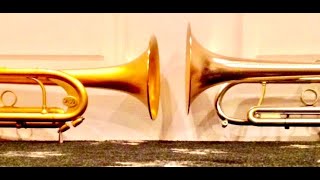 TRUMPET  MOUTHPIECE COMPARISON 2019 [upl. by Ashlee746]