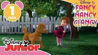 Fancy Nancy Clancy  Hundtricket 🐕 Disney Junior Sverige [upl. by Ocihc511]