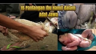 Inilah 15 Pantangan Ibu Hamil dalam Adat Jawa Yang Harus Anda Ketahui [upl. by Nosyaj]