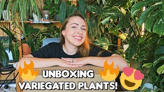 Unboxing variegated houseplants 🌿✨️ [upl. by Vashtee]