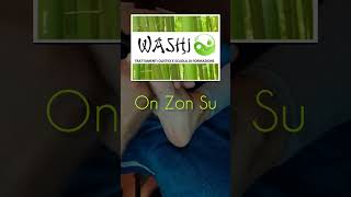 STUDIO WASHI RIFLESSOLOGIA PLANTARE ED ON ZON SU [upl. by Macy]