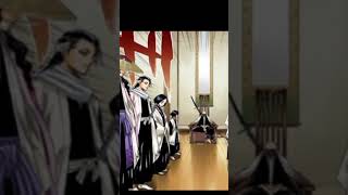 shunsui bankai edit anime capcut shunsui bleach [upl. by Acnalb]