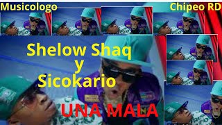 EL SICOKARIO FT SHELOW SHAQ  UNA MALAchipeo [upl. by Aerahs]