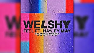 Welshy  Feel Ft Haley May Dylan Mac Namara Bootleg [upl. by Enautna]