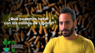 ¿Qué podemos hacer con las colillas de cigarro [upl. by Ardnayek]