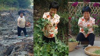 菜園裏面燈籠椒紅了，摘點回來做個泡燈籠椒food 乡村烹饪 乡村 乡村生活 [upl. by Netsirhk]