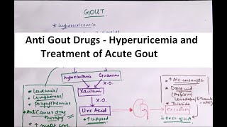 Anti Gout Drugs Part 1 Hyperuricemia and treatment of Acute Gout [upl. by Relyat815]