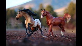 Breyer Model Horse Photography February 2018 [upl. by Gav]