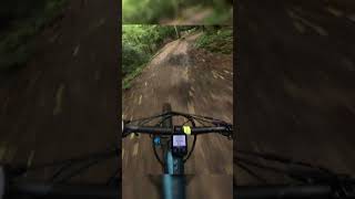 Making the most of the mtb dirt jump trail [upl. by Fasa267]