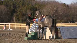 Part 1 of the Retired Race Horse Thoroughbred Training Project with Eric Dierks [upl. by Effie790]