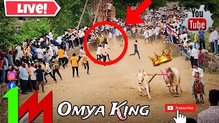 😱💥 Omya King  Nad Ekach Bailgada Sharyat  बैलगाडा शर्यत  Omya bailgadasharyat viral [upl. by Ees]