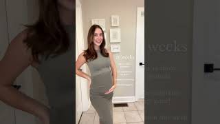 26 Weeks Pregnant Update pregnancy 26weekspregnant fertilityjourney bumpdate pregnant [upl. by Eerac]