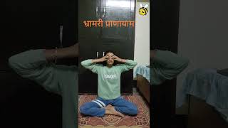 Namastye November Yoga day 4 भ्रामरी प्राणायाम moldingmylife [upl. by Niple]