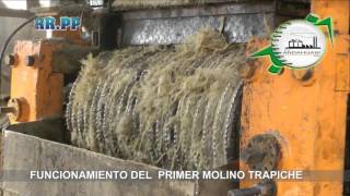 FUNCIONAMIENTO DEL PRIMER MOLINO TRAPICHE EN HD [upl. by Neroc]