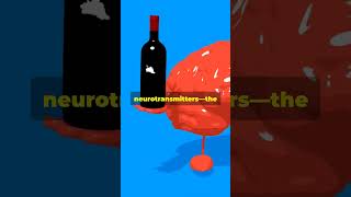 How Alcohol Gets You Drunk [upl. by Calvo]