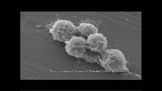 WSO Water Treatment Grade 1 Microorganisms Ch 1 [upl. by Feldstein]