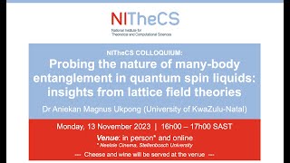 20231113  NITheCS Colloquium Probing the nature of manybody entanglement in quantum spin [upl. by Birdella]