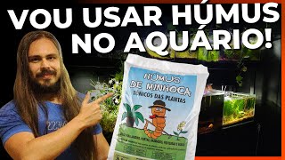 🔴VOU USAR HÚMUS DE MINHOCA NO AQUÁRIO PLANTADO Mr Betta [upl. by Trebmer]