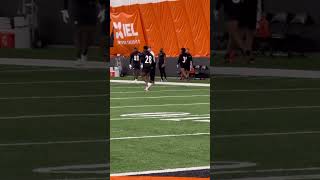 Bengals rookie CB Josh Newton shows off his ball skills Friday at rookie camp [upl. by Walt986]