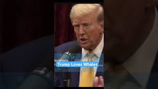 Trump loves whales Trump joerogan jre skateboarding [upl. by Jefferson]