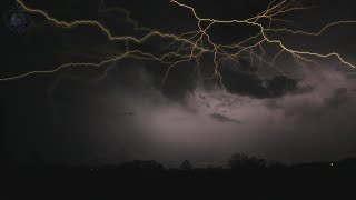 ⚡ Rolling Thunder Sleep Ambience with Clear Relaxing Sounds of Lightning and Rain Falling on Leaves [upl. by Xavier779]