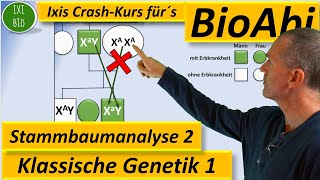 Klassische Genetik 2 Stammbaumanalyse 2  Genotypen begründen bei Xchromosomal rezessiven Erbgängen [upl. by Halette]