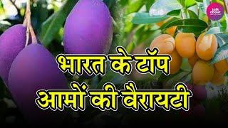 Top Best Mango Varieties in India  भारत में आमों की टॉप वैरायटी  Talk About Top [upl. by Annalla]