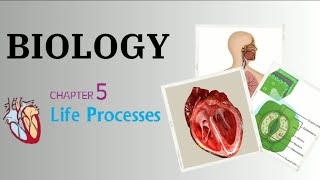 cbse biology tubectomy humanreproductionfemale [upl. by Ahsykal]