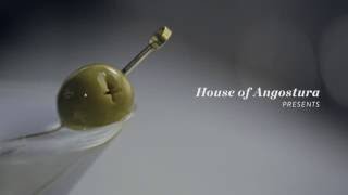 How to Make a Martini  Cocktail recipe Presented by the House of Angostura [upl. by Standford]