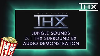 THX Sound Test  Jungle Sounds  ▶️ With Download [upl. by Parlin]