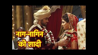 Phir Laut Aayi Naagin RajNandinis WEDDING TWIST [upl. by Netsriik]