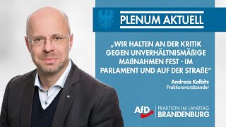 Andreas Kalbitz Wir halten an der Kritik gegen unverhältnismäßige Maßnahmen fest [upl. by Plossl]