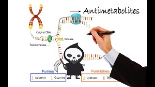 Pharmacology  CANCER DRUGS  ANTIMETABOLITES MADE EASY [upl. by Zedekiah691]