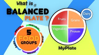 The Food Pyramid for Kids  Balanced Diet  Food Groups And Nutrition  Healthy Plate for Kids [upl. by Baxter]