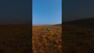 Epic Hike Through Scotland’s Stunning Countryside 🌄 Shorts [upl. by Llerraf]