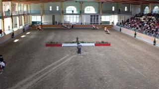 Haflinger Pferde Springquadrille Horses Showjumping [upl. by Olatha]