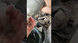 Mahindra Scorpio starting problem tamannamahindragarage [upl. by Eniluj]