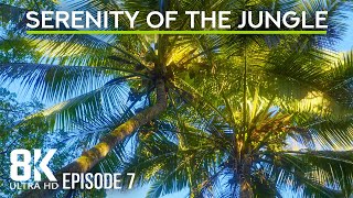 Incredible Jungle Sounds 8K  Lush Serenity of the Tropical Forest 8 HOURS  Episode 7 [upl. by Intruok884]