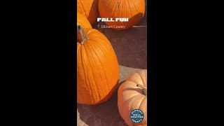 Fall Fun in Elkhart County Indiana [upl. by Siver]